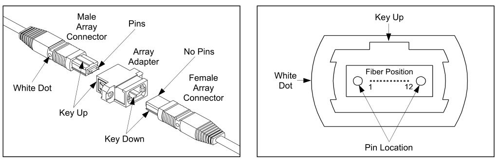 Расположение волокон в MPO коннекторе. Подключение MPO коннектора.